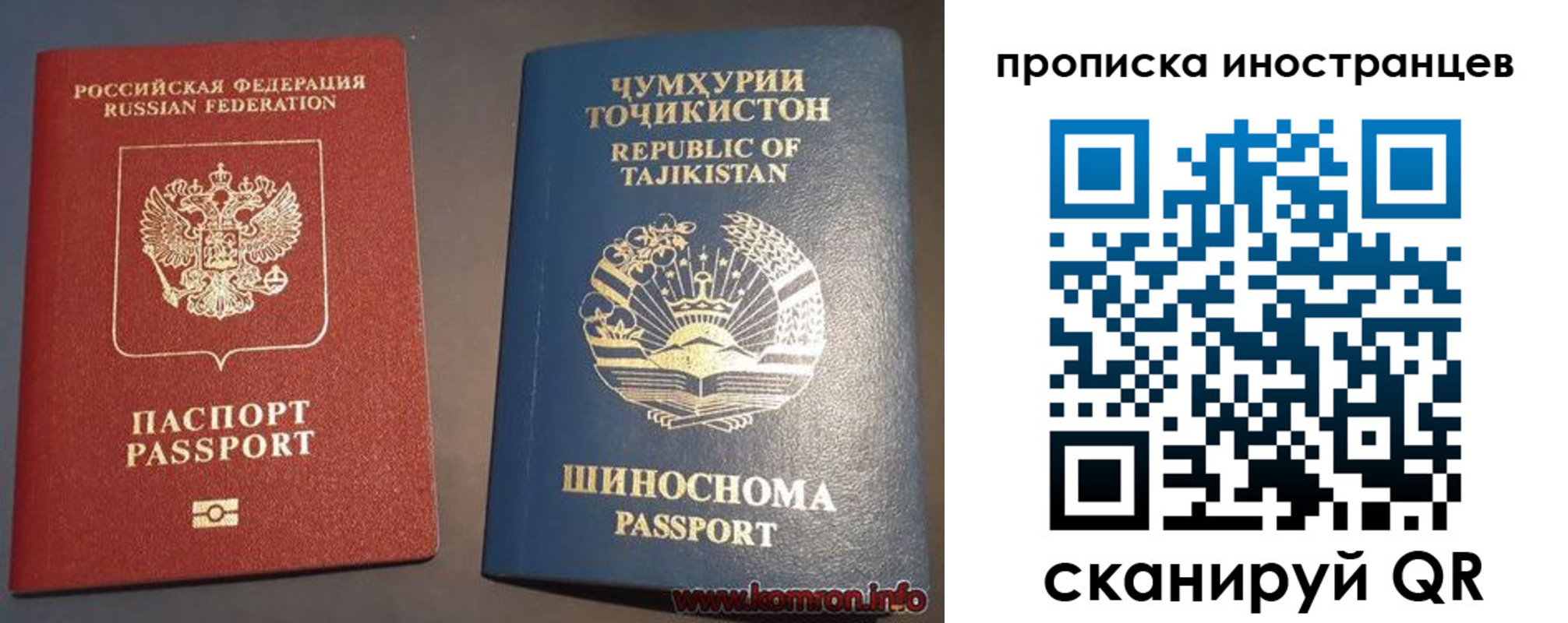 прописка поиск в Ржеве